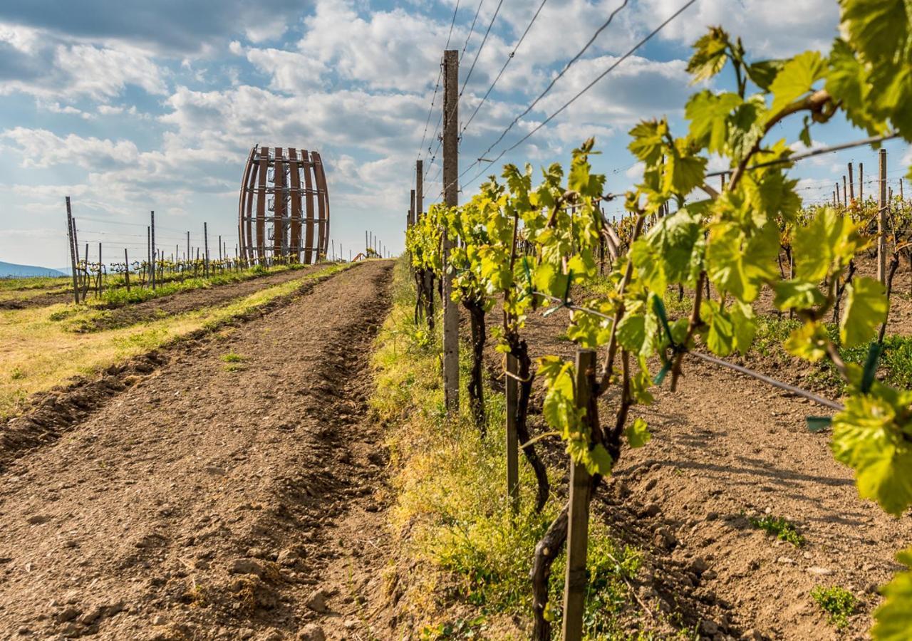 Penzion Tokaj Macik Winery B&B Mala Trna Zewnętrze zdjęcie