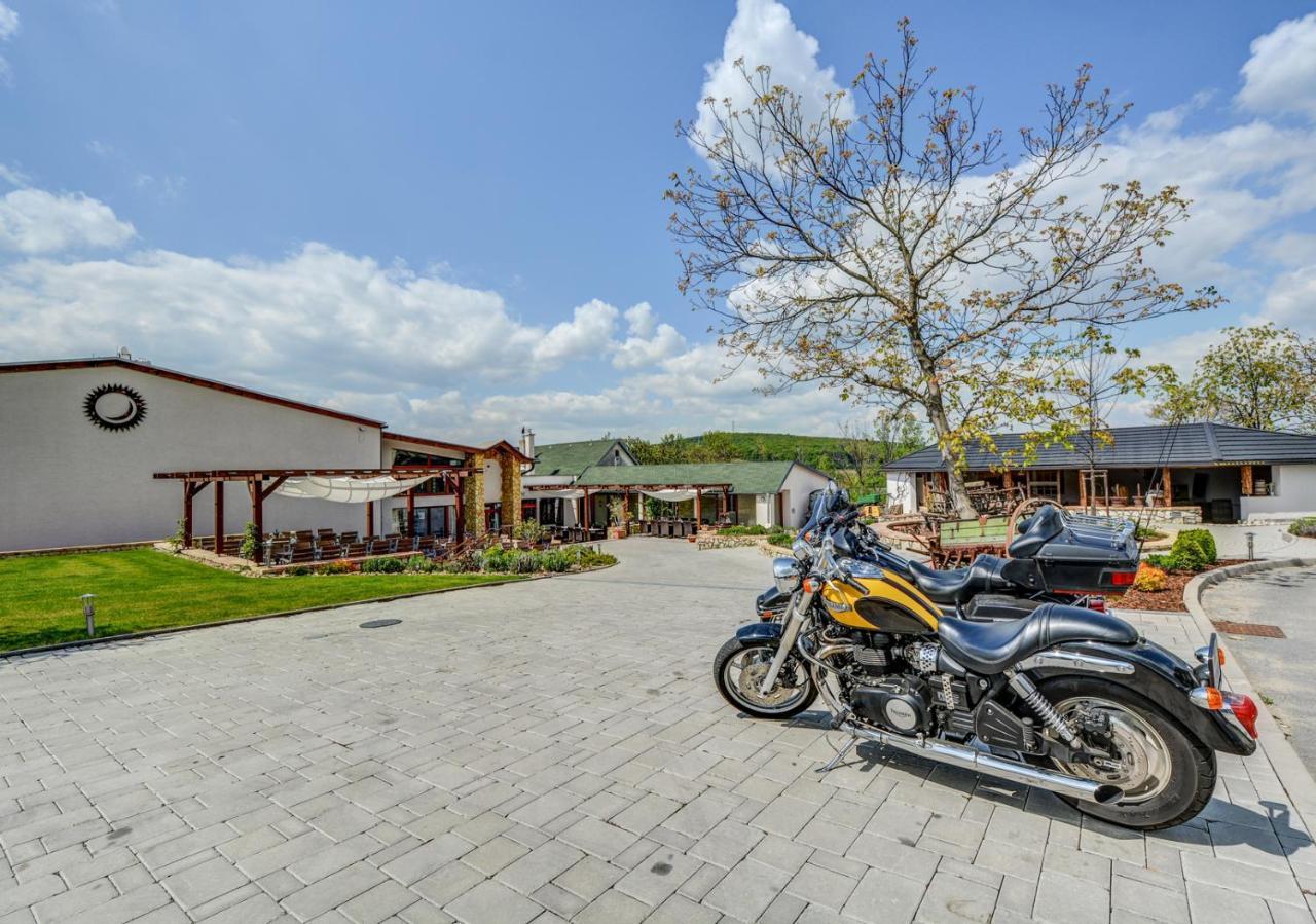Penzion Tokaj Macik Winery B&B Mala Trna Zewnętrze zdjęcie