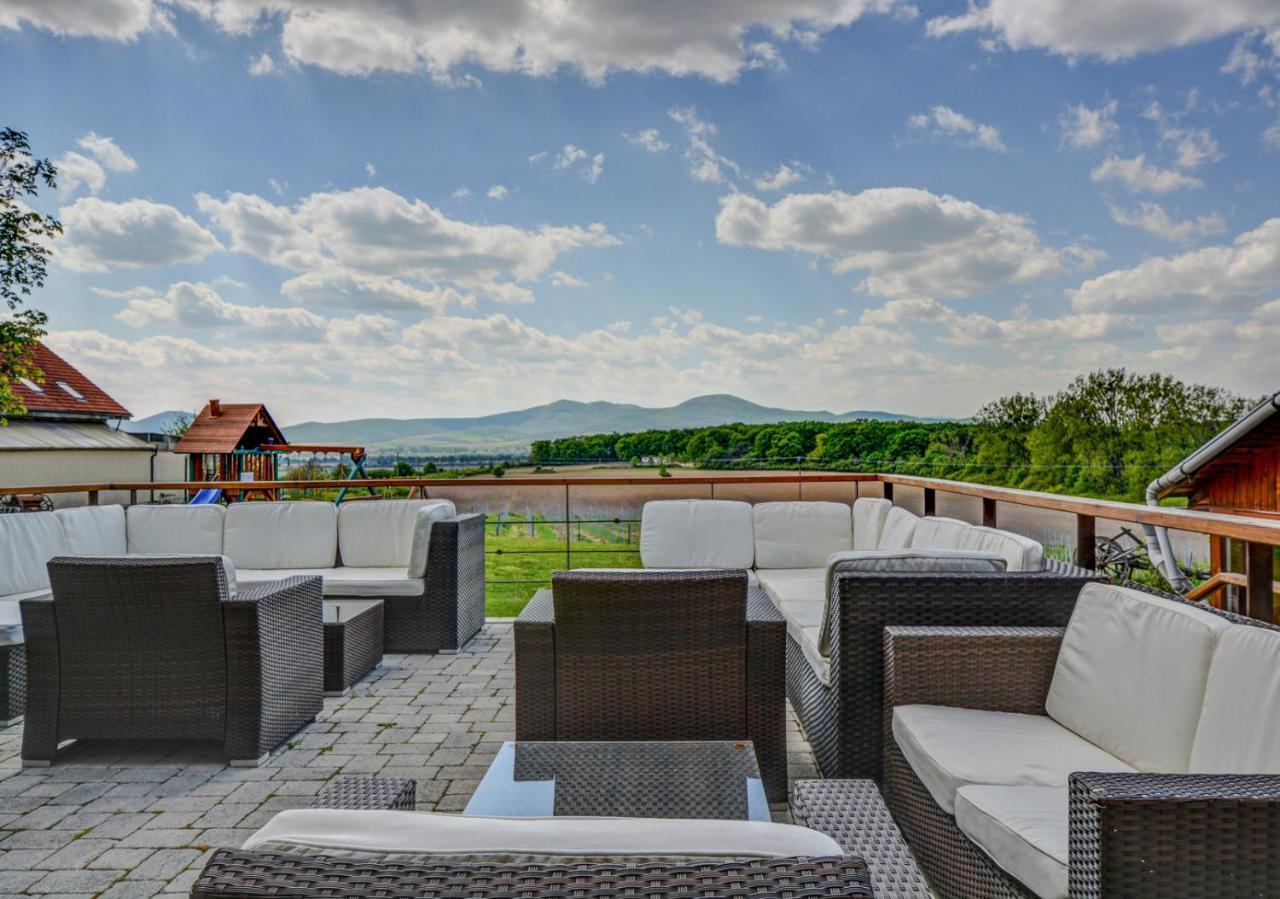 Penzion Tokaj Macik Winery B&B Mala Trna Zewnętrze zdjęcie