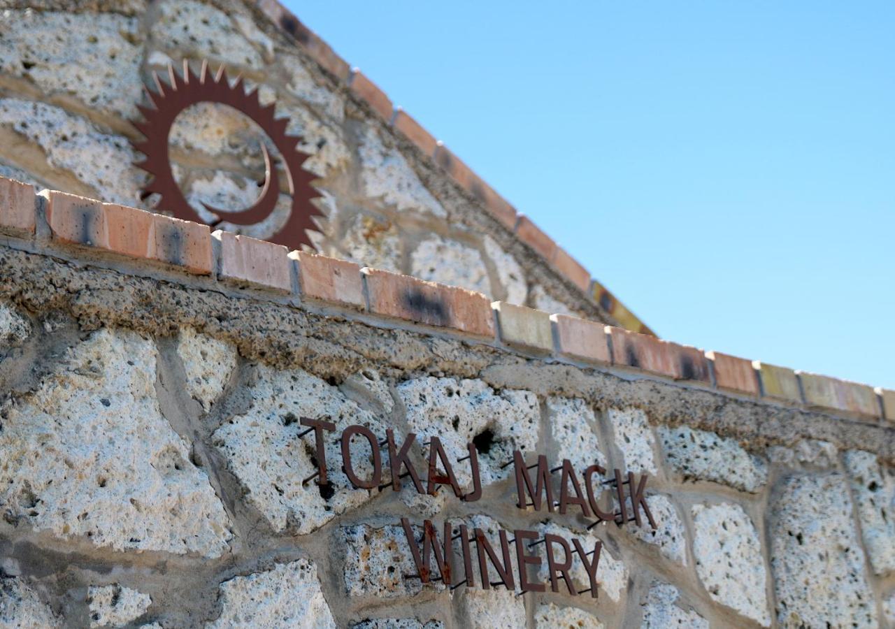 Penzion Tokaj Macik Winery B&B Mala Trna Zewnętrze zdjęcie