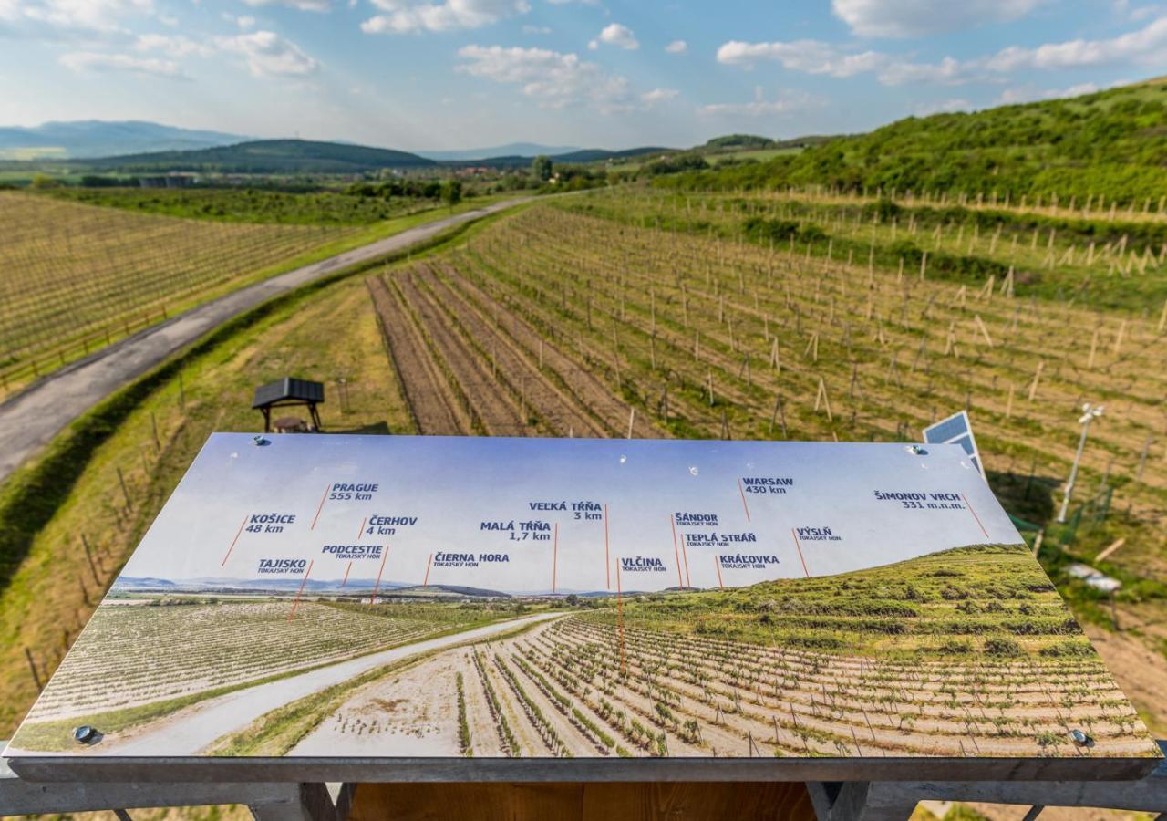 Penzion Tokaj Macik Winery B&B Mala Trna Zewnętrze zdjęcie