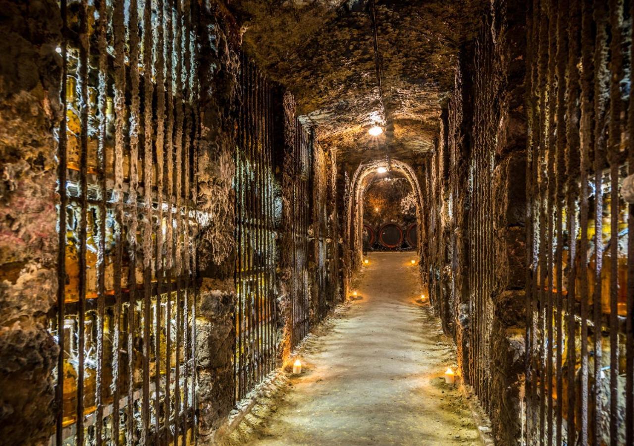 Penzion Tokaj Macik Winery B&B Mala Trna Zewnętrze zdjęcie