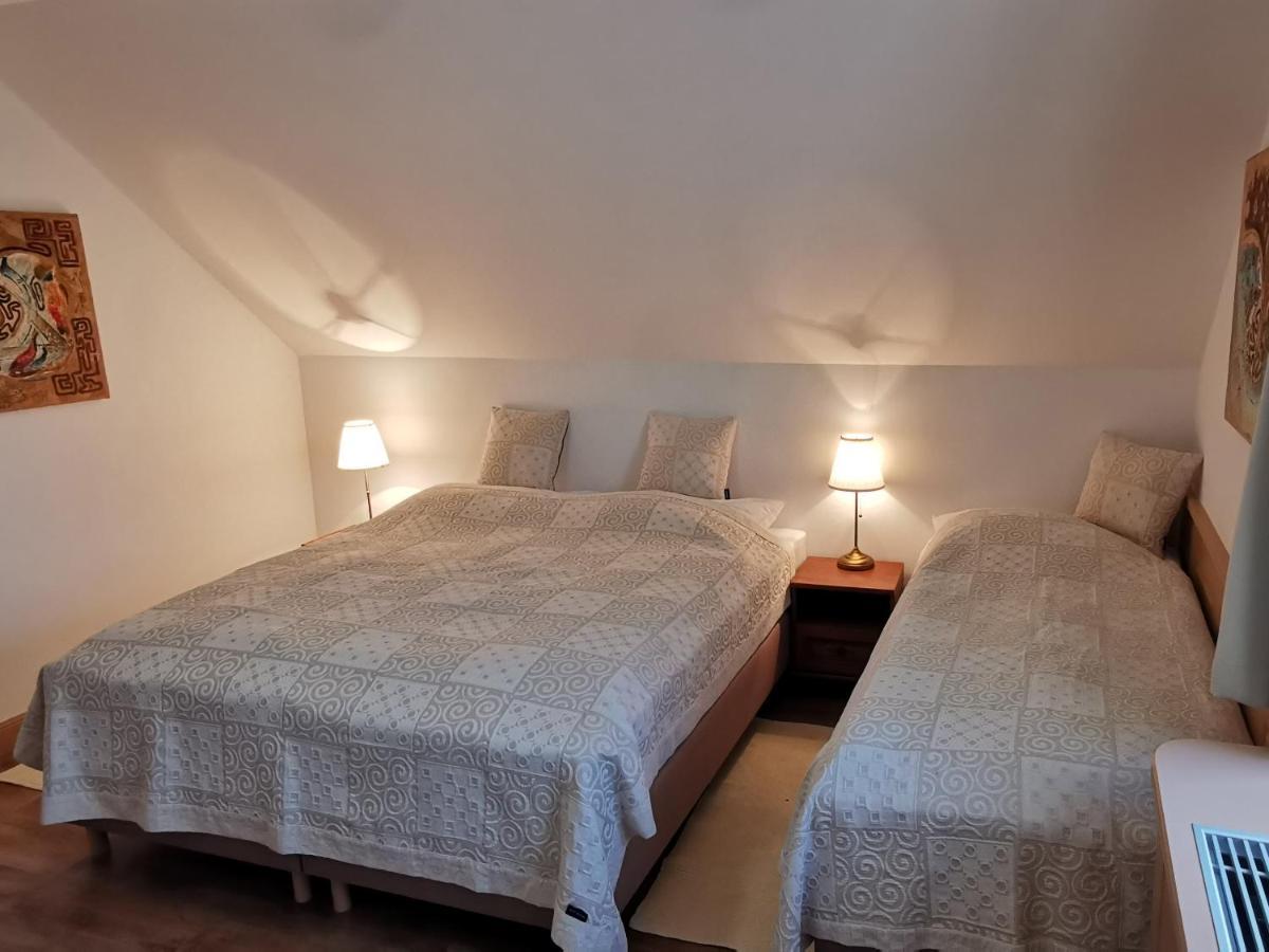 Penzion Tokaj Macik Winery B&B Mala Trna Zewnętrze zdjęcie